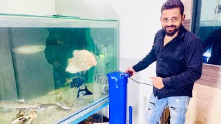 DIY Pvc Canister Filter bana liya canisterfilter aquarium trending viralvideo diyfilter short [upl. by Hadden]