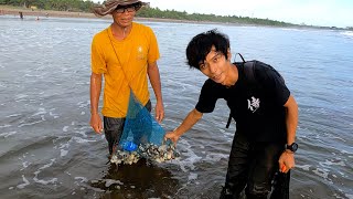 Setelah Bertahun Tahun Hilang Ribuan Kerang Tiba Tiba Muncul Kembali Dan Terdampar Di Pesisir Pantai [upl. by Letnahc]