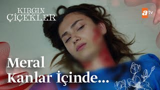 Meral kanlar içinde  Kırgın Çiçekler Mix Sahneler [upl. by Tyra]