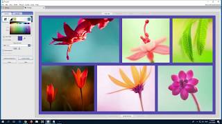 How to create a Picture Collage Picasa 3 [upl. by Cataldo]