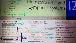 Neoplastic Disorders of White blood Cells Acute Leukemia ALL and AMLRobins pathology Pathoma [upl. by Yauqaj]