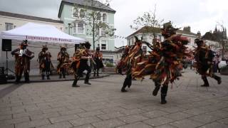 Wytchwood Morris dance Twiglet at Teignmouth Folk Festival [upl. by Mahon]