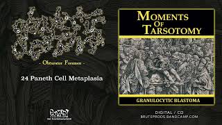 GRANULOCYTIC BLASTOMA quot24 Paneth Cell Metaplasiaquot Official Track 2010 [upl. by Jaquith]