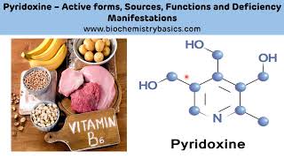 Pyridoxine Biochemistry  Vitamin B6 Biochemistry  Pyridoxal Phosphate PLP [upl. by Dimah]