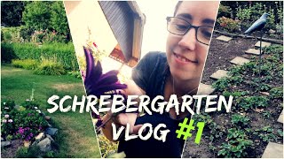 Schrebergarten Doku 1  Garten Rundgang  MICEKÖRNCHEN Vlog [upl. by Aros]