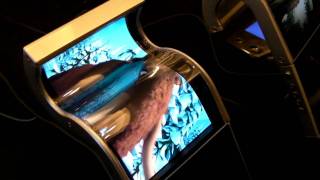 Samsung Flexible Display Demo at CES 2011 [upl. by Asilej]