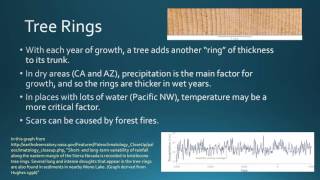 BIO 130 GCC Paleoclimatology coral and tree rings [upl. by Yduj]