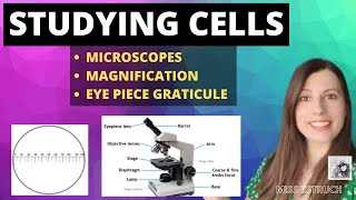 How to study cells  Microscopes magnification and calibrating the eyepiece graticule [upl. by Graves]