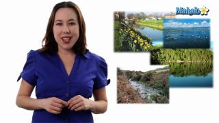 Learn Biology Biomes and Communities Definition [upl. by Quillon]