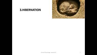 Mechanism of Thermoregulation part1 [upl. by Troth]