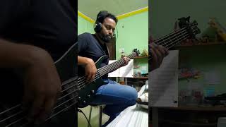 Ace Of Base  The Sign 1993 Bass Cover [upl. by Neo811]