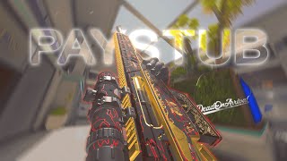 PAYSTUB  Call of Duty MW3 Montage [upl. by Decamp]