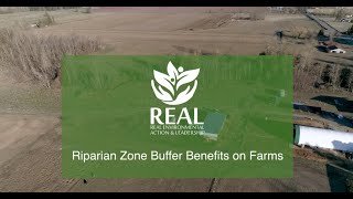 Riparian Zone Buffer Benefits on Farms [upl. by Aynnat]