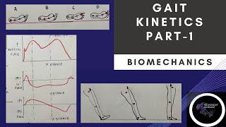 GAIT KINETICS  Part 1 Gait BiomechanicsPhysiotherapy Tutorial [upl. by Ecidnarb]