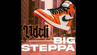 Odeli  BIG STEPPA DEMO Unmastered [upl. by Yleik489]