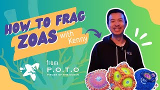 Kenny from Pieces of the Ocean shows us how he frags zoas zoanthids [upl. by Enineg]