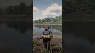 rdr2 RED DEAD REDEMPTION 2 FISHING GAMEPLAY rdr2 rdr2gameplay rdr2missions reddeadredmption2 [upl. by Idnerb]