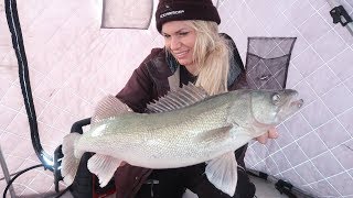 Releasing Monster Winnipeg Walleye  Ice Fishing 2018 [upl. by Elletnuahc]