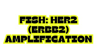 FISH HER2 ERBB2 AMPLIFICATION [upl. by Anabel]