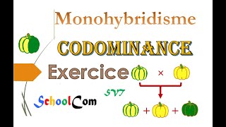 Exercice de génétique  Monohybridisme Codominance [upl. by Adelaide]