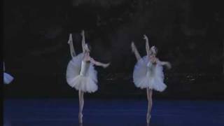 Swan Lake Act II  Big Swans Dance [upl. by Keyte]