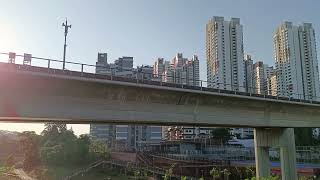 Ulu Pandan Park Connector at Clementi NorthArc along Sungei Ulu Pandan26 June 2024Singapore801am [upl. by Batchelor]