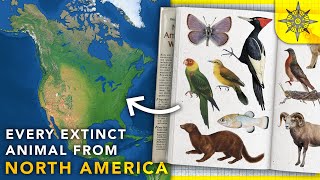 Mapping Every Extinct Animal From North America [upl. by Enimisaj]