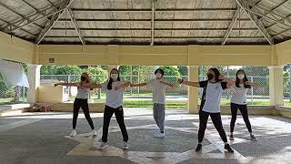 Dance Aerobics Dear Future Husband  Rhea [upl. by Jadda]