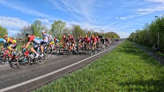 Doortocht Ronde van Vlaanderen 2024 in DendermondeLebbeke ⚫🟡🚴 [upl. by Lede]