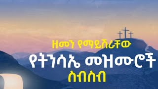 የትንሳኤ መዝሙር  ye tinsae mezmur orthodox  ትንሳኤ 2016  tinsae [upl. by Gombach]