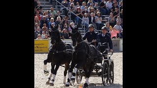 HuL Gestüt Marbach Hengstparade 2021 am 02102021  07 Jump and Drive [upl. by Enairda]