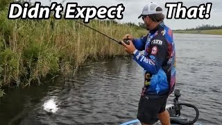 How to Fish a Spinnerbait  Scott Martin  Everything you need to know [upl. by Stevenson]