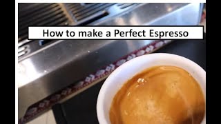 How to make a perfect espresso  Breville Barista Express [upl. by Abbottson]