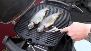 Forelle vom Grill Ganzen Fisch grillen Anleitung Rezept Weber Q100  Disturbed Cooking Ep 40 [upl. by Ahsinet]