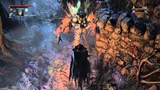 Bloodborne™  Grotesque Enemies The Fly Garden of Eyes [upl. by Aric246]