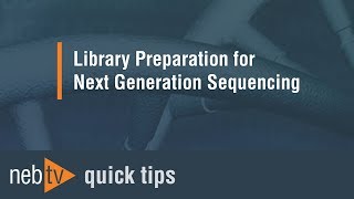 Quick Tips  Adding the lysis buffer for the PCR in the NEBNext RNA workflow [upl. by Nie]