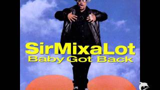 Sir MixALot  Baby Got Back Remix 2012 [upl. by Ayetal]