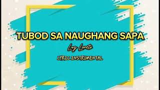 TUBOD SA NAUGHANG SAPA LYRIC INSTRUMENTAL [upl. by Bess]