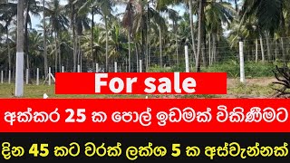 අක්කර 25 ක පොල් ඉඩමක් විකිණීමට  land for sale sri lanka  house for sale  land for sale  නිවාස [upl. by Ahsienek]