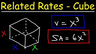 Related Rate Problems  The Cube  Volume Surface Area amp Diagonal Length [upl. by Sly803]