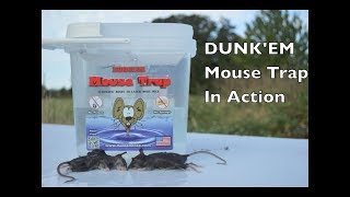 The Original DunkEm Mouse Trap In Action With Real Mice  Motion Cameras [upl. by Eveline]