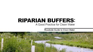 Riparian Buffers A Good Practice for Clean Water [upl. by Neenwahs715]