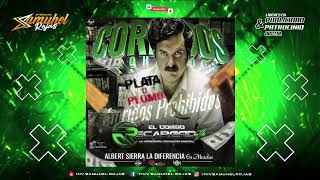 Corridos Prohibidos Mix 🇻🇪 EL COMBO RECARGADO 🇻🇪 Prod by Dj Albert Sierra La Diferencia [upl. by Anaylil333]