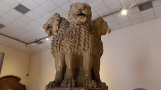 Lion Capital of Ashoka At Sarnath Archaeological Museum Near Varanasi India [upl. by Annohsak]