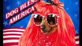 DOG BLESS AMERICA  MUTTLEY CYRUS [upl. by Nowell]