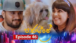 Paradeese  Episode 46  20241001  ITN [upl. by Ardnama]