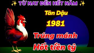 TÂN DẬU 1981 HƯỞNG LỘC TRỜI CHO ĐÚNG NỬA CUỐI NĂM 2024 ÂM LỊCH LÀM ĂN TRÚNG MÁNH HỐT VỀ TIỀN TỶ [upl. by Inalaeham869]