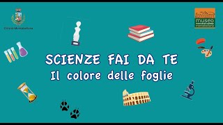 Tutorial i colori delle foglie [upl. by Pirzada599]