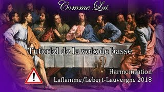 Comme Lui de Robert Lebel  Tutoriel basse [upl. by Orr]