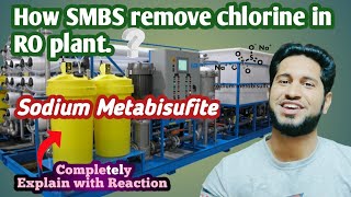 How SMBS remove chlorine in RO plant  Sodium Metabisufite dosing in RO plant [upl. by Dallon]